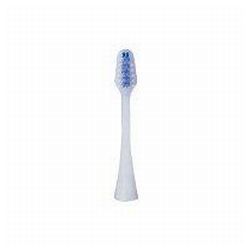 Federkernbürste 2er-Pack (EW0920W835)