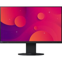 FlexScan EV2460 Monitor schwarz (EV2460-BK)