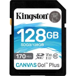 Canvas Go! Plus R170/W90 SDXC 128GB Speicherkarte (SDG3/128GB)
