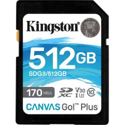 Canvas Go! Plus R170/W90 SDXC 512GB Speicherkarte (SDG3/512GB)