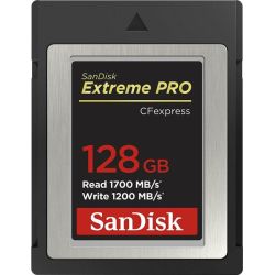 Extreme PRO R1700/W1200 CFexpress Type B 128GB (SDCFE-128G-GN4NN)