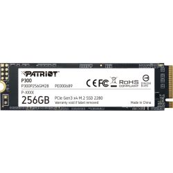 P300 256GB SSD (P300P256GM28)