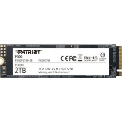 P300 2TB SSD (P300P2TBM28)