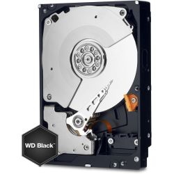 WD Black 10TB Festplatte bulk (WD101FZBX)