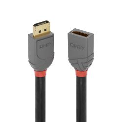 Lindy Anthra Line DisplayPort 1.4 Verlängerungskabel 0.5m schwarz (36495)