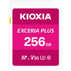 Exceria Plus R100/W85 SDXC 256GB Speicherkarte UHS-I U3 (LNPL1M256GG4)
