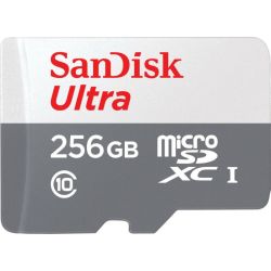 Ultra R100 microSDXC 256GB Speicherkarte (SDSQUNR-256G-GN6TA)
