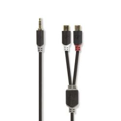 Nedis Stereo-Audiokabel , 3.5 mm Stecker , 2x Cinch Buchse , (CABW22250AT02)