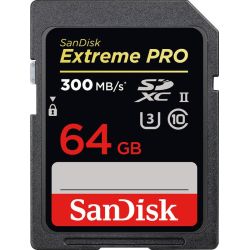 Extreme PRO R300/W260 SDXC 64GB Speicherkarte (SDSDXDK-064G-GN4IN)
