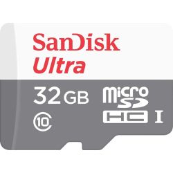 Ultra R100 microSDHC 32GB Speicherkarte UHS-I (SDSQUNR-032G-GN6TA)