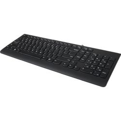 Lenovo 300 USB-Tastatur schwarz (GX30M39669)