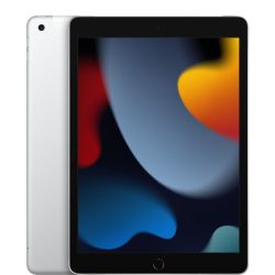 iPad 9 LTE 256GB Tablet silber (MK4H3FD/A)