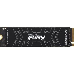 FURY Renegade 500GB SSD (SFYRS/500G)