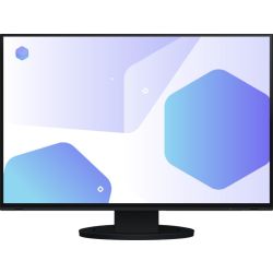 FlexScan EV2485 Monitor schwarz (EV2485-BK)