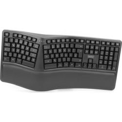 Wireless Ergonomic Keyboard Tastatur schwarz (DA-20157)