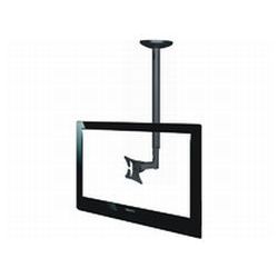 DH NewStar LCD 25-75cm  Höhe 50-85cm FPMA-C50BLACK (FPMA-C050BLACK)