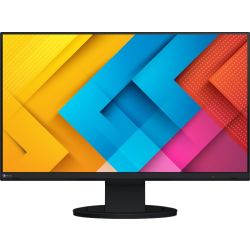 FlexScan EV2490 Monitor schwarz (EV2490-BK)