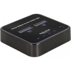 Delock M.2 PCIe Dockingstation mit Klon-Funktion schwarz USB-C 3.1 (64177)