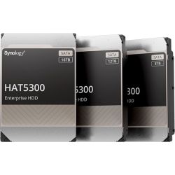 4TB Festplatte bulk (HAT5300-4T)