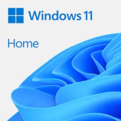 Windows 11 Home 64Bit deutsch USB-Stick (HAJ-00111)