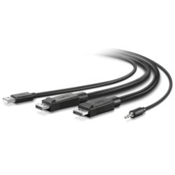 DUAL DP/USB/AUD SKVM CBL (F1D9020B06T)