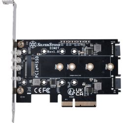 ECM27 Controllerkarte PCIe 4.0 x4 zu 2x M.2/?B-M-Key (SST-ECM27)