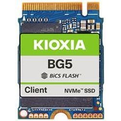 BG5 Client 512GB SSD (KBG50ZNS512G)