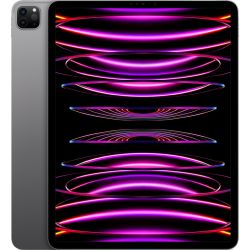 iPad Pro 12.9 G6 1TB Tablet space grau (MNXW3FD/A)