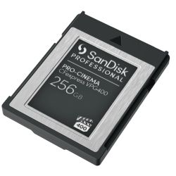 PRO-CINEMA CFexpress Type B 256GB Speicherkarte (SDPCVN4-256G-GNANN)