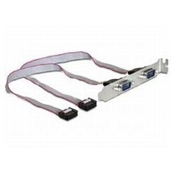 DELOCK Slotblech - Seriell 2xPort 40cm (89268)