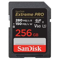 Extreme PRO R280/W150 SDXC 256GB Speicherkarte (SDSDXEP-256G-GN4IN)