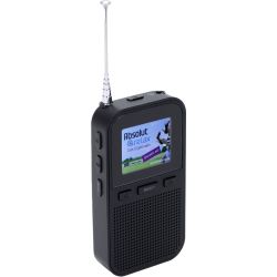 DAH-126 Portabler Radio schwarz (111111300010)