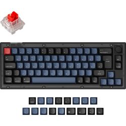 V2 Knob Frosted Black 65% Tastatur schwarz/blaugrau (V2-C1-DE)