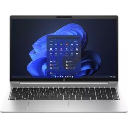 ProBook 450 G10 512GB Notebook pike silver (854M0ES-ABD)