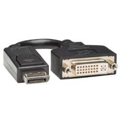 Tripp Lite 6in Displayport to DVI Adapte (P134-000)