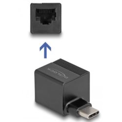 Delock Adapter to Gigabit LAN mini - Net (66462)
