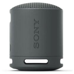 SRS-XB100 Portabler Lautsprecher schwarz (SRSXB100B.CE7)