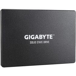 1TB SSD (GP-GSTFS31100TNTD)