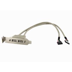 2 Port USB 2.0 Low Profile Slotblech, Buchse (USBPLATELP)