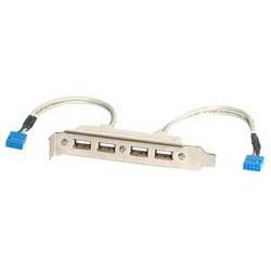 4 Port USB 2.0 Slotblech Adapter (USBPLATE4)