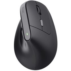 TM-270 Ergonomic Wireless Maus schwarz (25371)