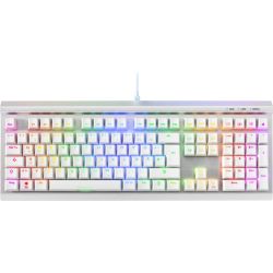 Skiller SGK40 White Tastatur weiß/silber (4044951040117)