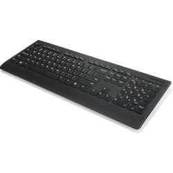 Professional Wireless Keyboard Tastatur schwarz (4X30H56854)