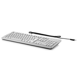 USB Tastatur hellgrau (B6B64AA-ABD)