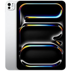 iPad Pro 11 G5 256GB Tablet silver (MVV93NF/A)