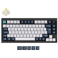 Q1 Max Carbon Black 75% Wireless Tastatur schwarz/weiß (Q1M-M4-DE)