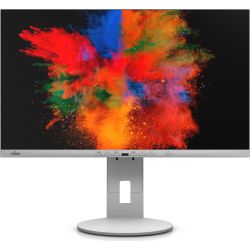 P-Line P2410 TE Monitor grau (S26361-K1699-V140)