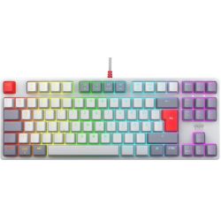 Xtrfy K4V2 TKL Tastatur grau (CX-K4V2-RGB-TKL-RETRO-R-GER)