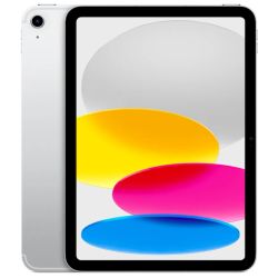 iPad 10 5G 256GB Tablet silver (MCMN4NF/A)