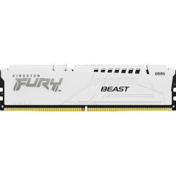 FURY Beast 16GB DDR5-6000 Speichermodul (KF560C30BWE-16)